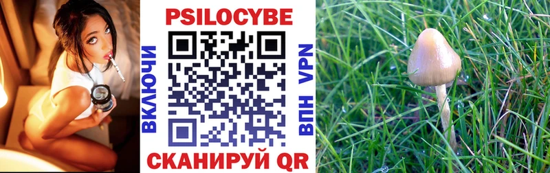 Галлюциногенные грибы Psilocybine cubensis  Купить  Покачи 